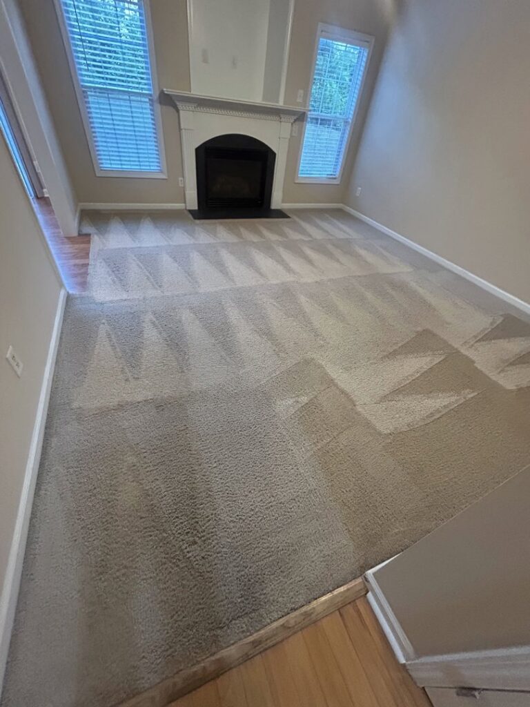 A living room carpet showing cleaning marks after service by Drew's Cleaning and Restoration in Jamestown, NC.