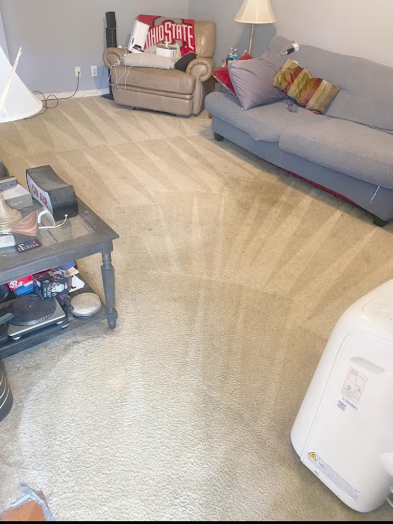 A living room carpet showing signs of recent professional cleaning by Furns Total Carpet Care in Murfreesboro, TN.