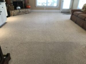 A living room carpet being cleaned, showing a clear difference between the cleaned and uncleaned areas by Sparky Carpet Cleaning in Baton Rouge, LA.