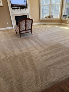 A living room carpet showing distinct cleaning lines after a professional carpet cleaning service by Hydro Clean in Baltimore, MD.