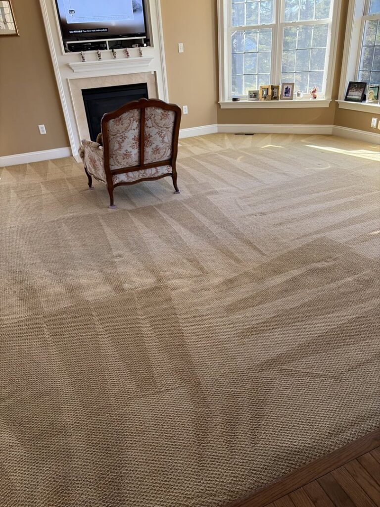 A living room carpet showing distinct cleaning lines after a professional carpet cleaning service by Hydro Clean in Baltimore, MD.