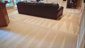 A living room with light-colored carpet showing distinct cleaning patterns from Dewdrop Carpet Cleaning in Kansas City, MO.