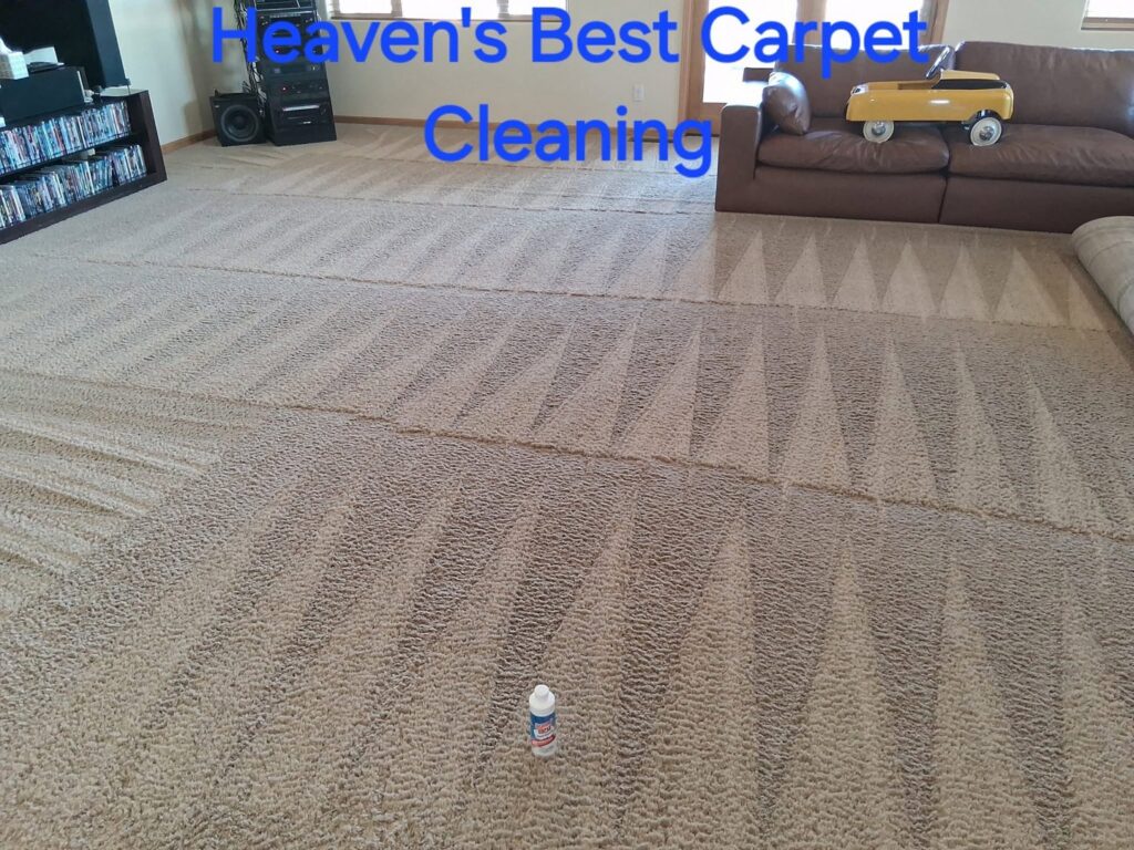 A living room carpet showcasing professional cleaning patterns by Heaven's Best Carpet Cleaning in Concord, NC.