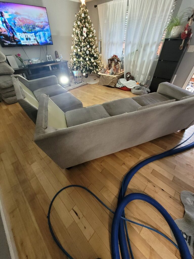 Professional carpet cleaning in a residential living room by PDX STAR in Happy Valley, OR