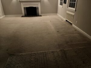 A living room carpet before or during a cleaning project by Rise N Shine Cleaning in San Antonio, TX
