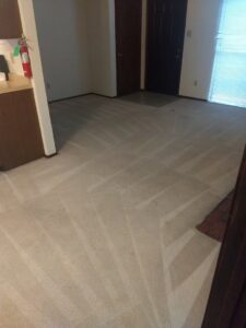 A living room area with freshly cleaned carpet showing professional cleaning patterns by Carpet Masters of Albuquerque, NM.