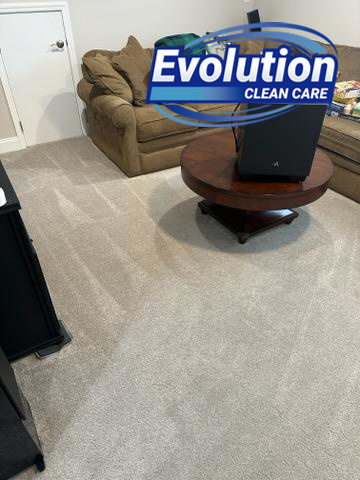 Excellent carpet cleaning results in a living room by Evolution Clean Care in Knoxville, TN