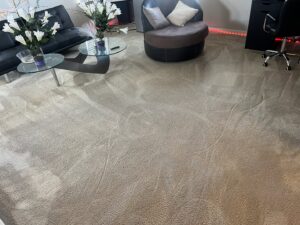 Cleaned carpet in a living room, showing fresh cleaning patterns, by Word of Mouth Cleaning Services in Houston, TX.