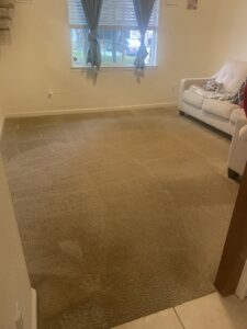 A freshly cleaned living room carpet by The Barreto Brothers Carpet Cleaning in Sacramento, CA