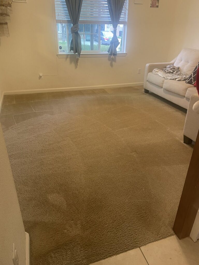 A freshly cleaned living room carpet by The Barreto Brothers Carpet Cleaning in Sacramento, CA