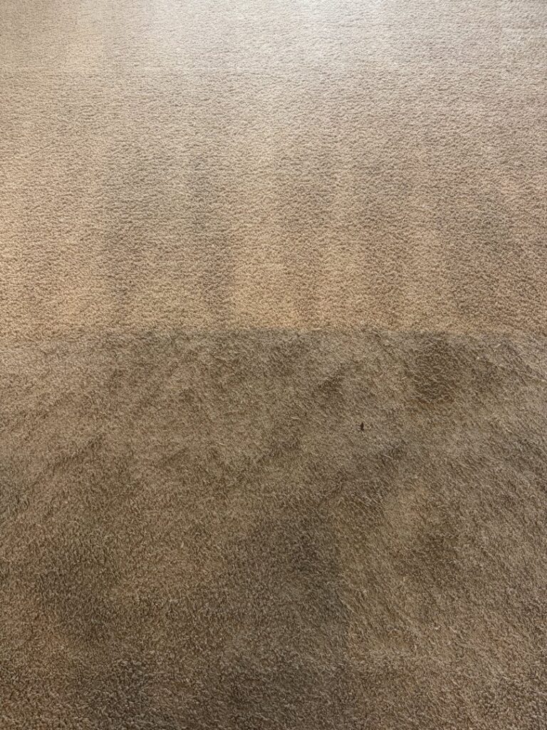 Living room carpet partially cleaned, showing distinct patterns from the cleaning process by Triple J Carpet Cleaning in North Las Vegas, NV.