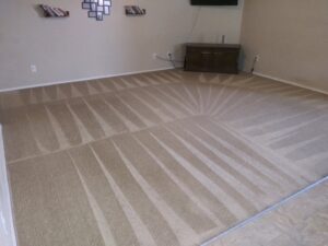 A living room carpet freshly cleaned with distinct patterns by Stain Punishers Carpet Cleaning in Plano, TX.