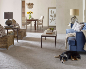 A cozy living room featuring a new light-colored carpet installation by Messina's Flooring & Carpet in Salem, NH.