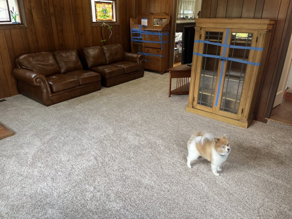 A cozy living room with new light gray carpet installed by Tile Town Carpet One in Syracuse, NY