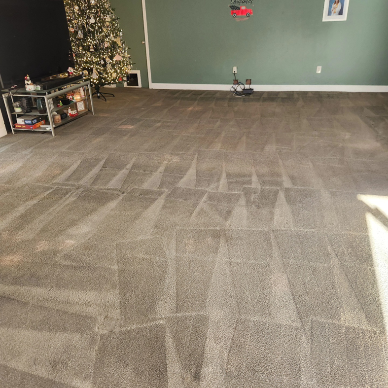 A living room carpet showing distinct cleaning patterns after professional service by Kingdom Kleen in Portsmouth, VA.