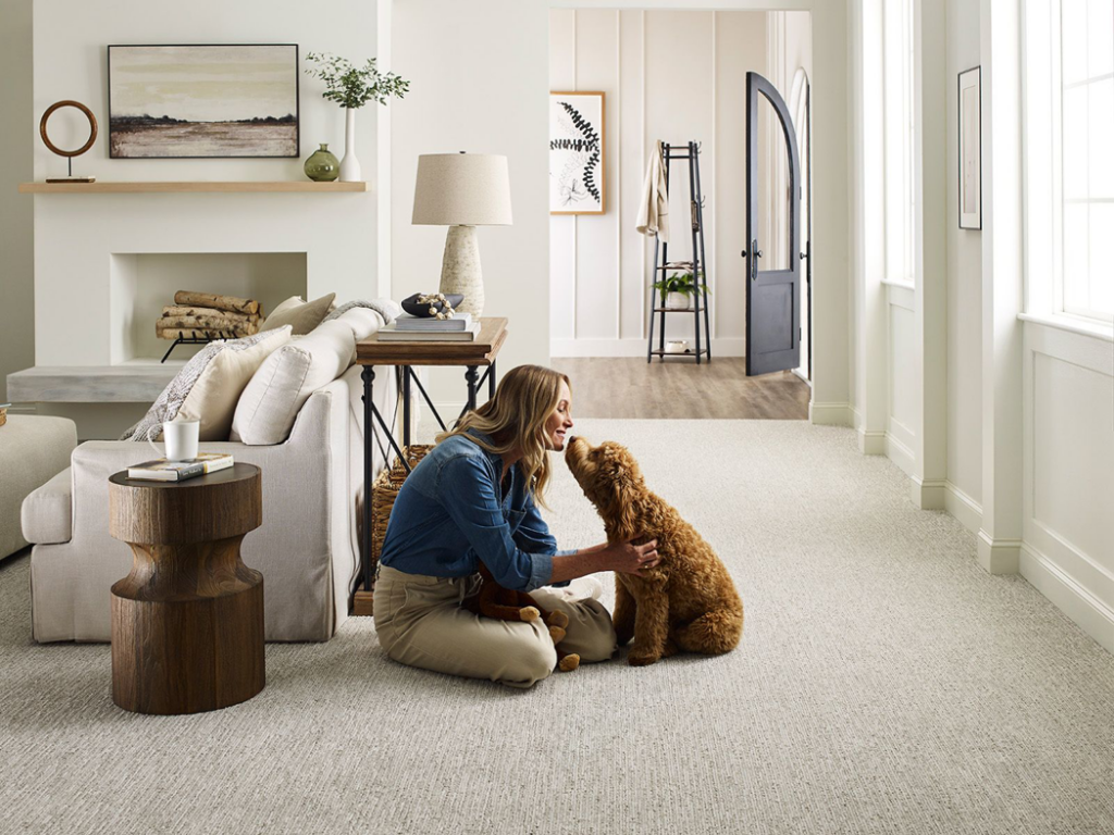 A cozy living room featuring a light gray carpet installation by Wilkins Floorcovering in Livonia, MI