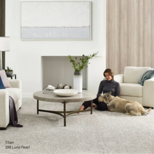 A modern living room featuring newly installed light grey carpet by Floors By Roberts in Appleton, WI.