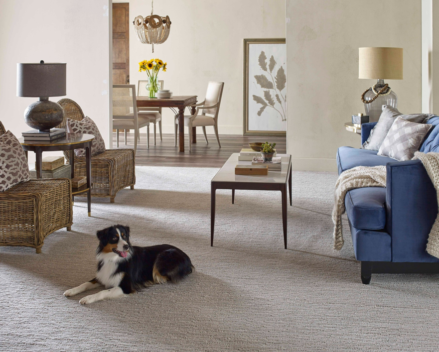A comfortable living room with light grey patterned carpet installed by Floors By Roberts in Appleton, WI.