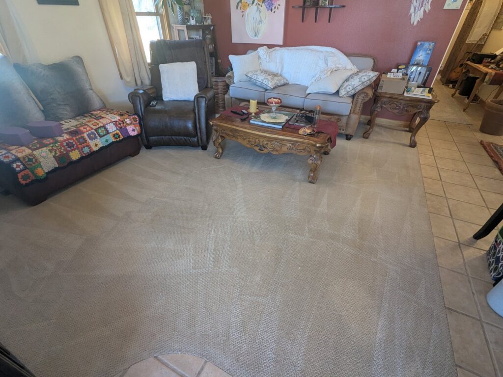 A living room featuring a freshly cleaned carpet with visible vacuum lines by Alamogordo Carpet Cleaning in Alamogordo, NM.