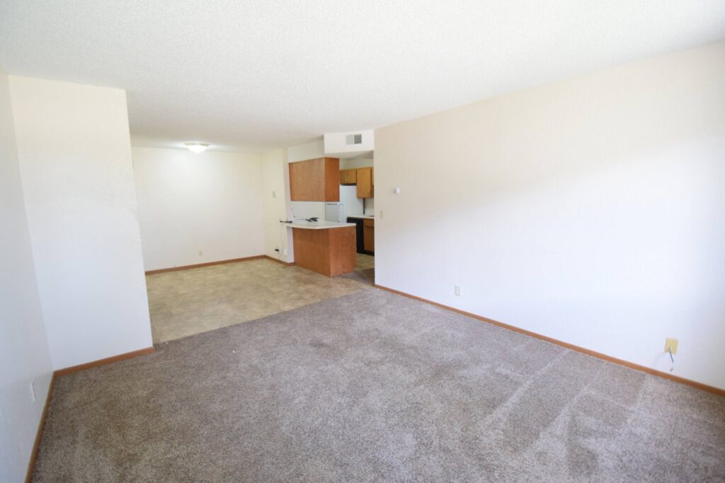 A spacious living room featuring a new carpet installation by Destination Flooring in Rochester, MN.