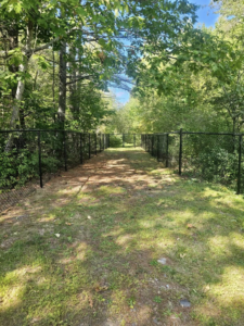 A long black chain-link fence installed along a wooded path, defining boundaries by Dirigo Fence Company in Augusta, ME.