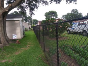 A long section of black chain-link fence defining a property line, expertly installed by Country Boyz fencing in Biloxi, MS.