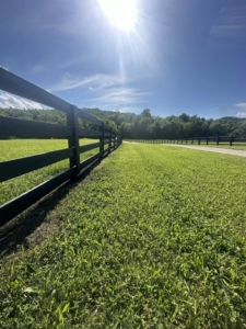 A long black wooden fence stretching across a green field in a rural setting by Pileggi Fence Painting in Franklin, TN