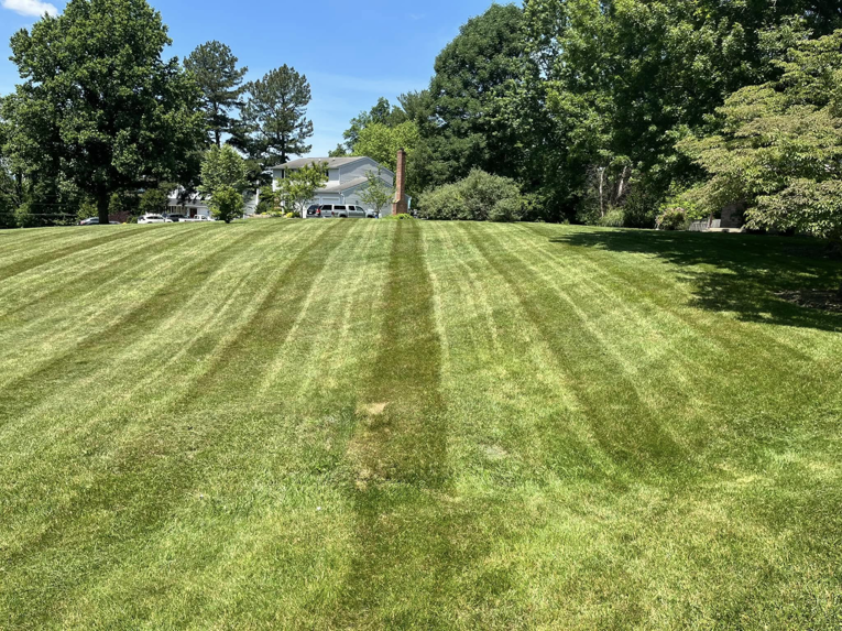 A long, well-maintained lawn featuring distinct mowing stripes by As Green Lawncare and Landscaping LLC in Frederick, MD.