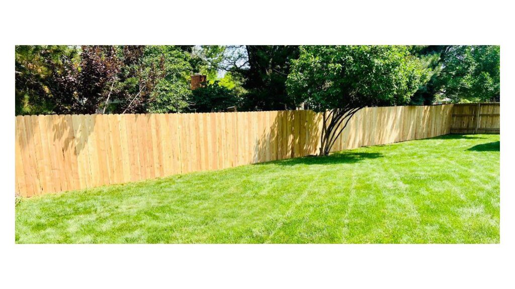 A long, newly installed wooden privacy fence in a green backyard by 2 Guys & A Girl Lawn Care in Thornton, CO.