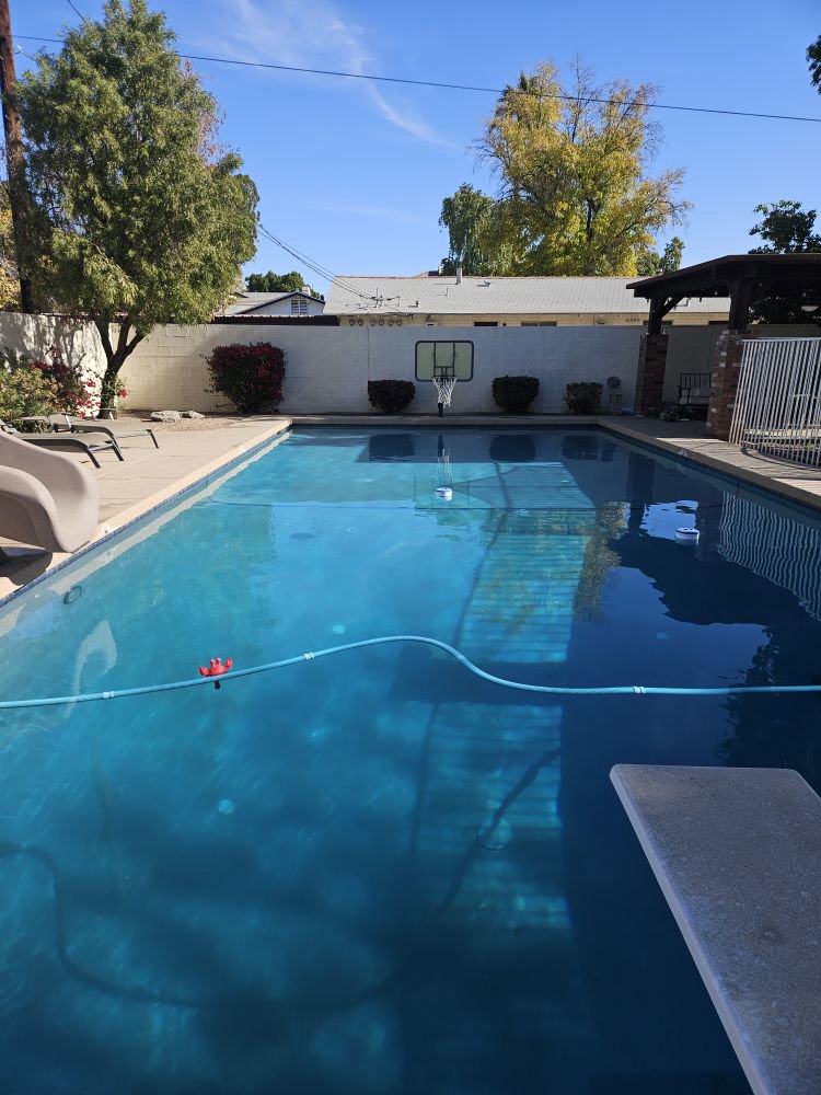 A long residential pool with a pool cleaner hose in the water by Vanguard Pool Care in Phoenix, AZ