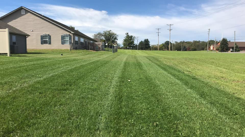 A long, wide area of grass with neat mowing stripes, maintained by Clean Cuts Lawn Care in Cavetown, MD.