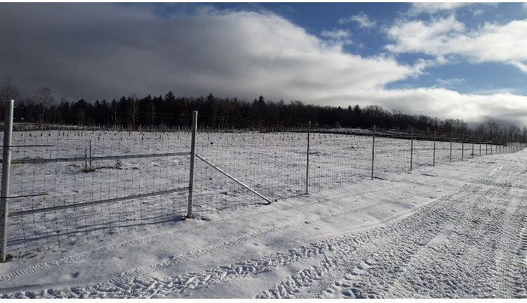 A long wire mesh fence with a gate extending across a snowy field, installed by Doolan Fence in Montpelier, VT.