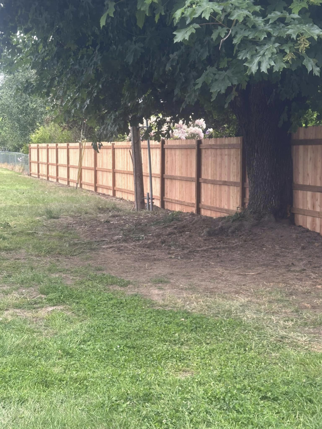 A long line of newly installed wood privacy fencing in a residential yard by FJ'S Fencing & Construction, LLC in Lake Oswego, OR.