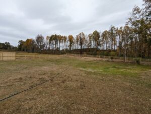 A long wooden split-rail fence installed across a large grassy property by Endurance Fence Solutions, LLC in Holly Springs, NC