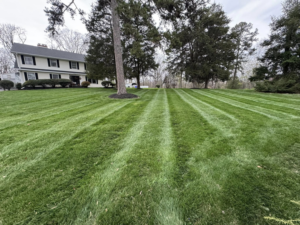 A lush, green lawn with distinct mowing stripes, showcasing expert care by Hancock Lawn Care in Knoxville, TN.