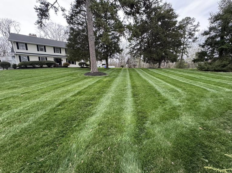 A lush, green lawn with distinct mowing stripes, showcasing expert care by Hancock Lawn Care in Knoxville, TN.