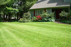 Lush green lawn at a residential home, professionally cared for by All American Maintenance and Lawn Care, LLC in Lake Charles, LA.