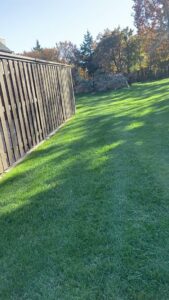 A lush, well-maintained green lawn next to a residential building, cared for by Perez Lawn Care llc in Oklahoma City, OK