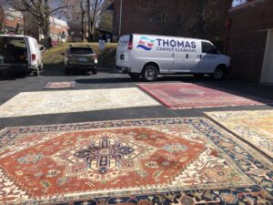 Professional machine cleaning an oriental rug at Thomas Carpet & Oriental Rug Cleaners in Newtown Square, PA