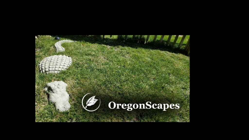 A neatly maintained residential lawn with decorative stepping stones, showcasing OregonScapes' quality lawn care in Eugene, OR.