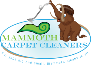 Mammoth Carpet Cleaners