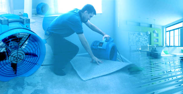 A man removing water-damaged carpet, a service provided by Commercial Floor Maintenance in Biloxi, MS.
