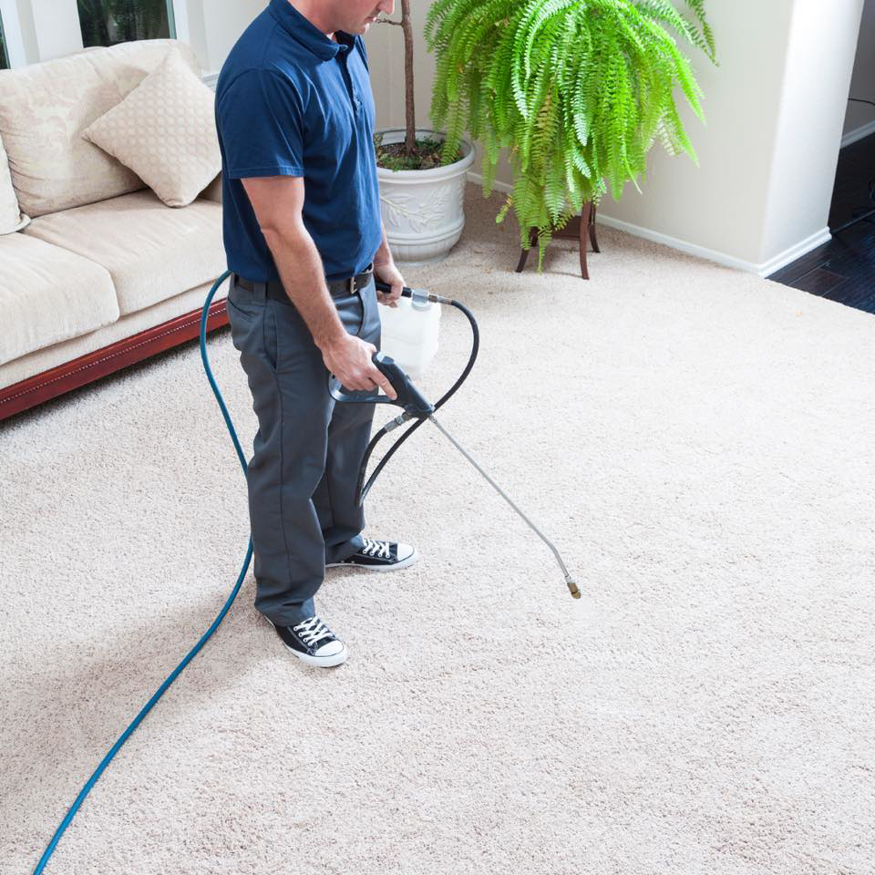 A man applying cleaning solution to a carpet during a job by Martin Pro Cleaner in Tulsa, OK