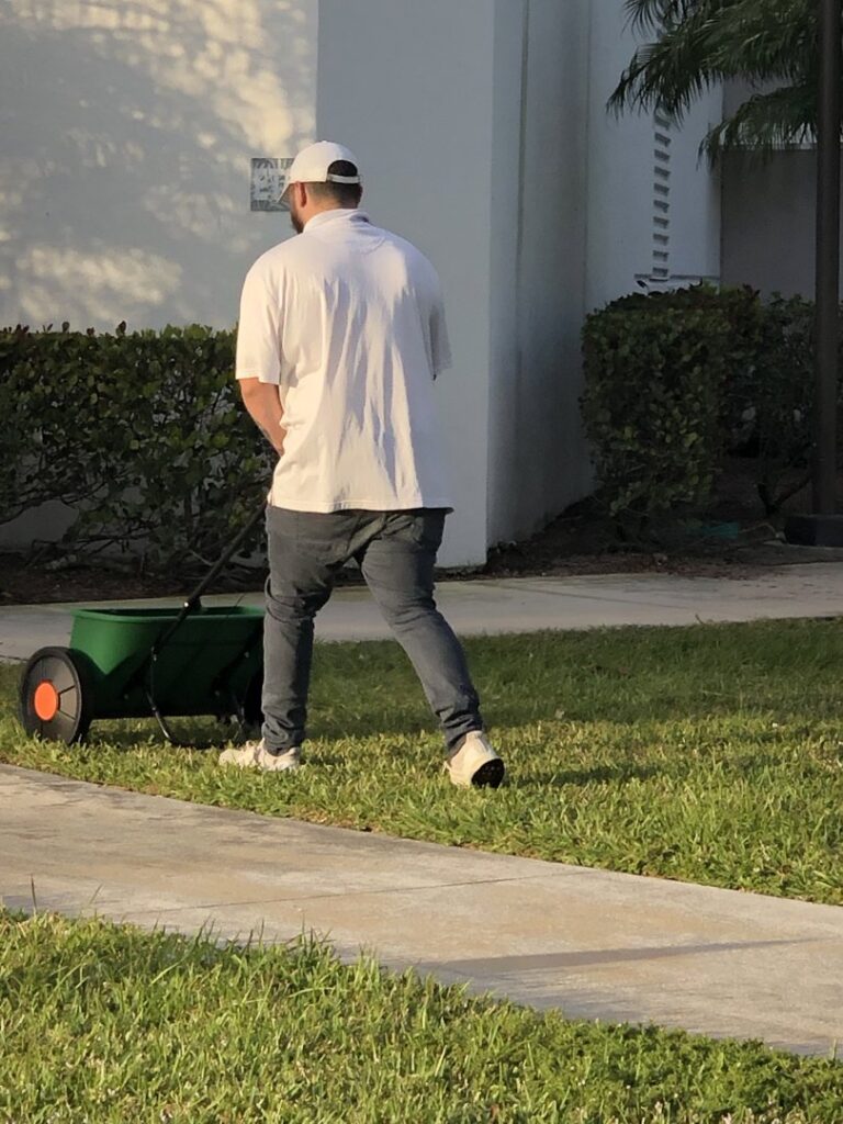 A man spreading lawn treatment with a spreader, a service offered by Globe Pest Inc in Miami, FL.