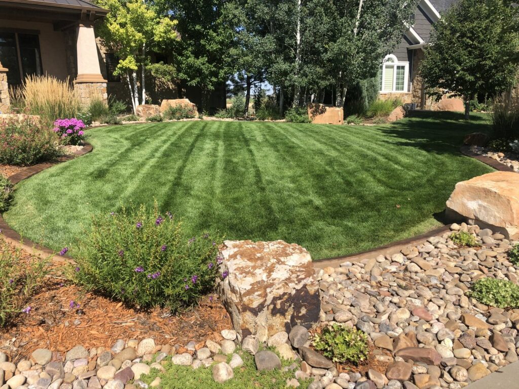 A perfectly manicured lawn with mowing stripes surrounded by decorative rock and mulch beds by Front Range Finest in Fort Collins, CO.