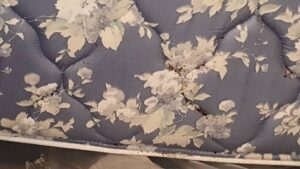 Mattress showing damage and dark stains, indicative of a pest infestation addressed by Sellers Pest Control in Summerville, SC.