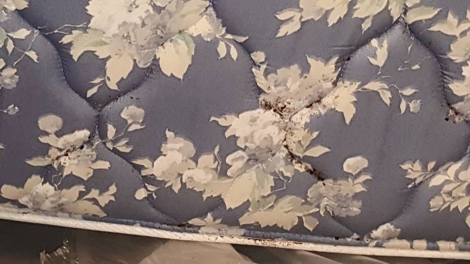 Mattress showing damage and dark stains, indicative of a pest infestation addressed by Sellers Pest Control in Summerville, SC.