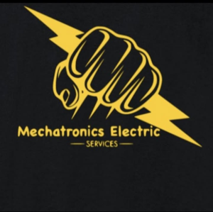 Mechatronics LLC