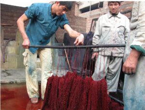 Men working with freshly dyed yarn, a step in creating tribal rugs for Yayla Tribal Rugs, Inc. in Cambridge, MA.