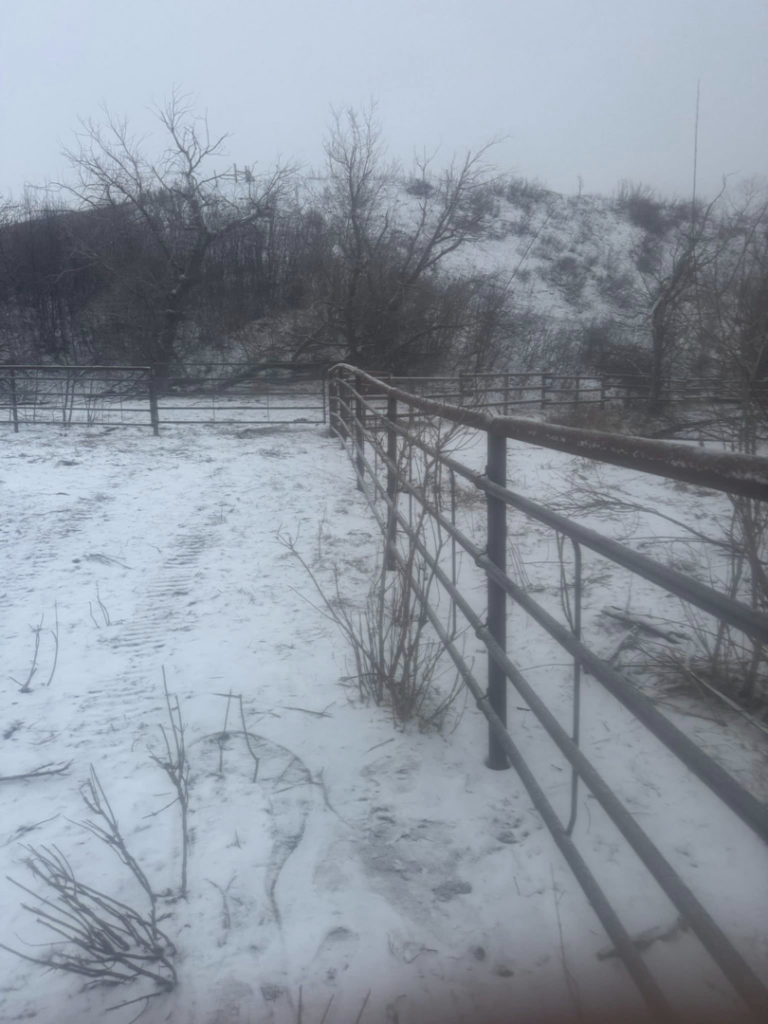 A sturdy metal fence line stretching across a snowy field, installed by Deer Creek Ag Services in Ranchester, WY.